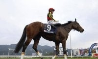 【香港・QE2世C枠順】三冠牝馬リバティアイランドは11番ゲート、日本ダービー馬タスティエーラは10番ゲート