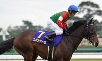 半兄は皐月賞覇者の良血馬 待望のデビュー戦で勝利掴めるか 