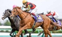 ジオグリフに右第3中手骨々折が判明 6カ月以上の休養を要す見込み