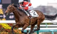 【青葉賞予想】前走重賞組よりも1勝クラス組が優勢！ 未勝利戦から参戦する馬は前走での内容に要注意