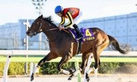 【羽田盃】ジャナドリアなどJRA馬は4頭…ダートクラシック初戦の出走予定馬
