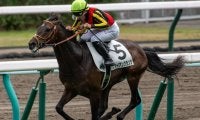 【今日の注目ポイント】青葉賞で素質馬たちが日本ダービーへの優先出走権を争う