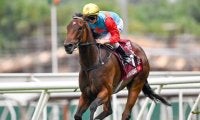 【香港・チェアマンズSP結果】カーインライジングが12連勝達成！ 日本のサトノレーヴが2着