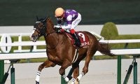 春の長距離王者決定戦・天皇賞(春)など3重賞/今週の競馬界の見どころ