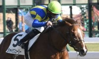 【京王杯SC見どころ】シャドウフューリーが重賞初制覇を狙う