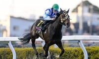 【大井・東京プリンセス賞枠順】重賞3連勝中のプラウドフレールは7枠13番