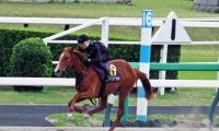 期待の若駒が育成調教の成果を披露 中山競馬場でJRAブリーズアップセールの騎乗供覧が実施される