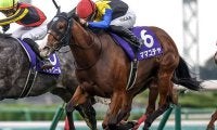 【京王杯SC想定騎手】ママコチャは川田将雅騎手、トウシンマカオは横山武史騎手