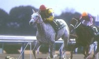 今年こそ悲願なるか!? ケンタッキーダービー日本馬初参戦からちょうど30年