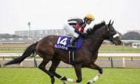 カレンブーケドールが唯一の馬券圏内 グレード制導入後の天皇賞(春)に挑んだ牝馬たち