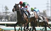 【天皇賞(春)展望】4歳馬ヘデントールが長距離界の頂点へ
