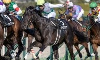 青森産馬の24年ぶりGI制覇なるか 名牝系「期待の星」が天皇賞(春)制覇狙う