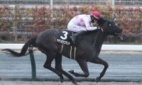【園田・兵庫CS注目馬】今年もJRA所属馬が上位を占めるか 3歳ダート短距離王の座はどの馬に