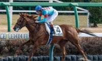 【ユニコーンS出走馬・騎手確定】クレーキング＆D.レーン騎手、メイショウズイウン＆武豊騎手など13頭
