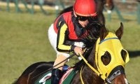 半兄にGI馬ピクシーナイトを持つ重賞馬 障害戦で2年10カ月ぶりの勝利なるか