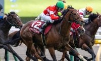京王杯SCの23年覇者 レース史上2頭目の2勝目なるか