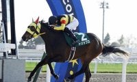 新種牡馬ゴルトマイスター産駒が初V 小野楓馬騎手「スタートが上手な馬」