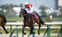 歴代最多8勝！天皇賞・春はショウナンラプンタとのコンビ…武豊騎手騎乗馬