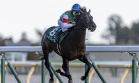 【天皇賞・春】レーン騎乗 ヘデントールは4枠6番