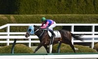 【ユニコーンS予想】東京ダービーにつながる出世レース 未来のダート王目指す3歳馬が集う