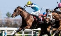 【NHKマイルC想定騎手】アドマイヤズームは川田将雅騎手、ランスオブカオスは吉村誠之助騎手
