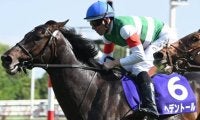 【天皇賞(春)】売上は220億5625万8100円で昨年より約11億円増加