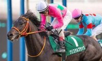 【先週のJRA抹消馬】20年京成杯の勝ち馬クリスタルブラック、芝短距離路線で活躍したエイシンスポッターなど