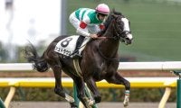 【エプソムC展望】4歳馬有利でシュトラウスが中心