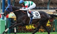 エアグルーヴ一族の良血馬 グロスビークがC.ルメール騎手で連勝なるか