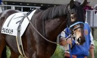 半兄は香港G1・2勝のグローリーヴェイズ ラルガメンテが初勝利狙う