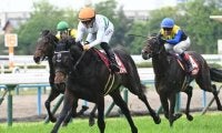 【京都新聞杯結果】ショウヘイが2馬身半差の完勝で重賞初制覇