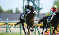 【東京7R】単勝1.2倍 シンハナーダが快勝…レースは少頭数5頭立て