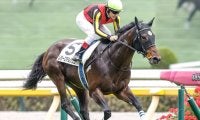 【新潟大賞典展望】前走3勝クラス勝ち馬の勢いを重視