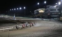 14日門別5Rで「新種牡馬産駒限定の2歳新馬戦」 マテラスカイ産駒やインディチャンプ産駒など9頭