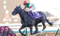 GI馬キラーアビリティが登録抹消 インドで種牡馬入り予定