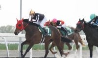 門別で「新種牡馬産駒限定戦」 マテラスカイ産駒グリーゼが父に初白星届ける