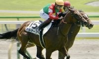 2着7回の実績馬ハルオーブ 再転入初戦で中央初Vなるか