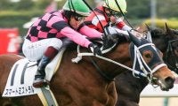 母は重賞4勝馬 3戦全て2着のスマートミストラルが初V狙う