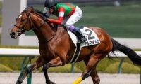 半兄は名馬キタサンブラック アルマデオロが待望の初勝利なるか