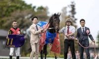 【日本ダービー想定馬・騎手】ミュージアムマイル、クロワデュノールなど17頭