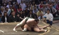 大相撲で衝撃結末… どうしてこうなった？ 182キロ巨漢力士が体重“全部のせ” 館内どよめき