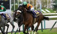 【ヴィクトリアM予想】大敗直後の馬は前走の距離に注目！ 牝馬トップクラスの能力馬に立ちはだかる消去法データとは