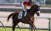【テレ玉杯】エアグルーヴ一族のボーモンド C.ルメール騎手で連勝なるか