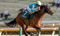 牝馬クラシック二冠目・オークスと平安S/今週の競馬界の見どころ