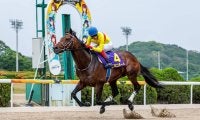 【佐賀スプリングカップ】ビキニボーイが重賞初制覇！山口勲と快心の逃げ切り