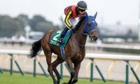 【オークス】主要な記録を一挙紹介 全85回の歴史で最多優勝騎手・調教師・馬主とは？