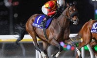 【大井記念枠順】重賞3連勝中のキングストンボーイは7枠12番