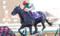 【先週のJRA抹消馬】21年ホープフルS覇者キラーアビリティ、芝短距離で活躍した古豪トゥラヴェスーラなど