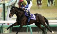【日本ダービー何でもランキング】産駒勝利数第1位はディープインパクト 7勝の活躍