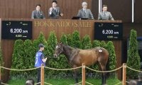 2025北海道市場2歳トレーニングセールが開催 最高価格はコントレイル産駒「テオレーマの2023」